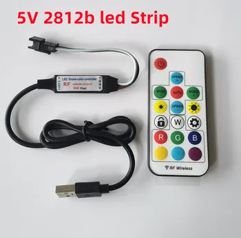 WS2812B WS2811 SK6812 LED Controller RGB Dimmer 5V RF Wireless 3Pin Presa USB Uscita WS2812B di Striscia di RGB LED Controller Remoto